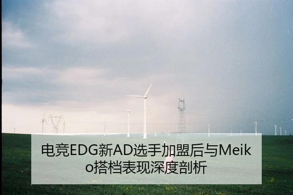 电竞EDG新AD选手加盟后与Meiko搭档表现深度剖析